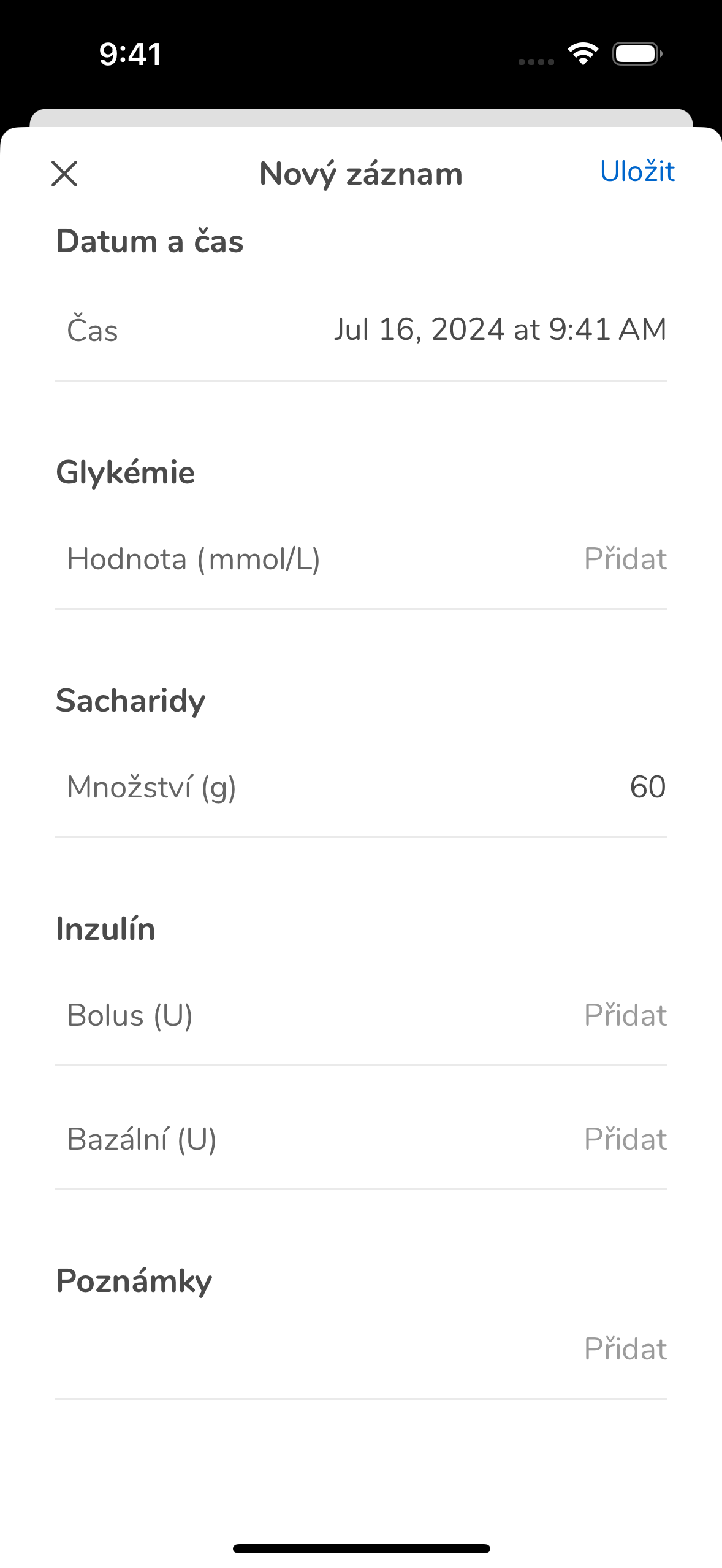 07_03_AddEntry_AddValues SaveDiaryEmpty_Mmoll_cs-CZ